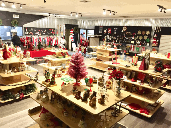 Our store